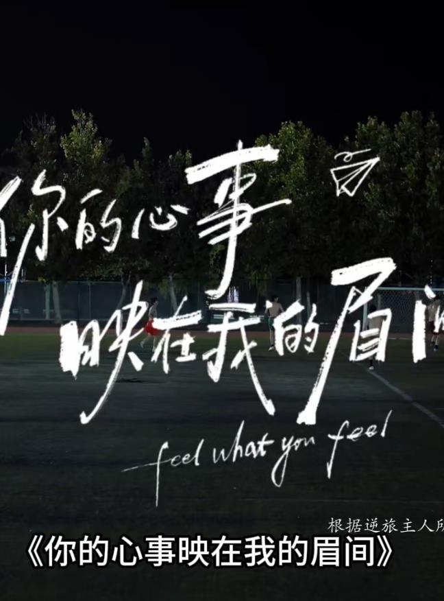 你的心事映在我的眉间——史泰龙电影国语